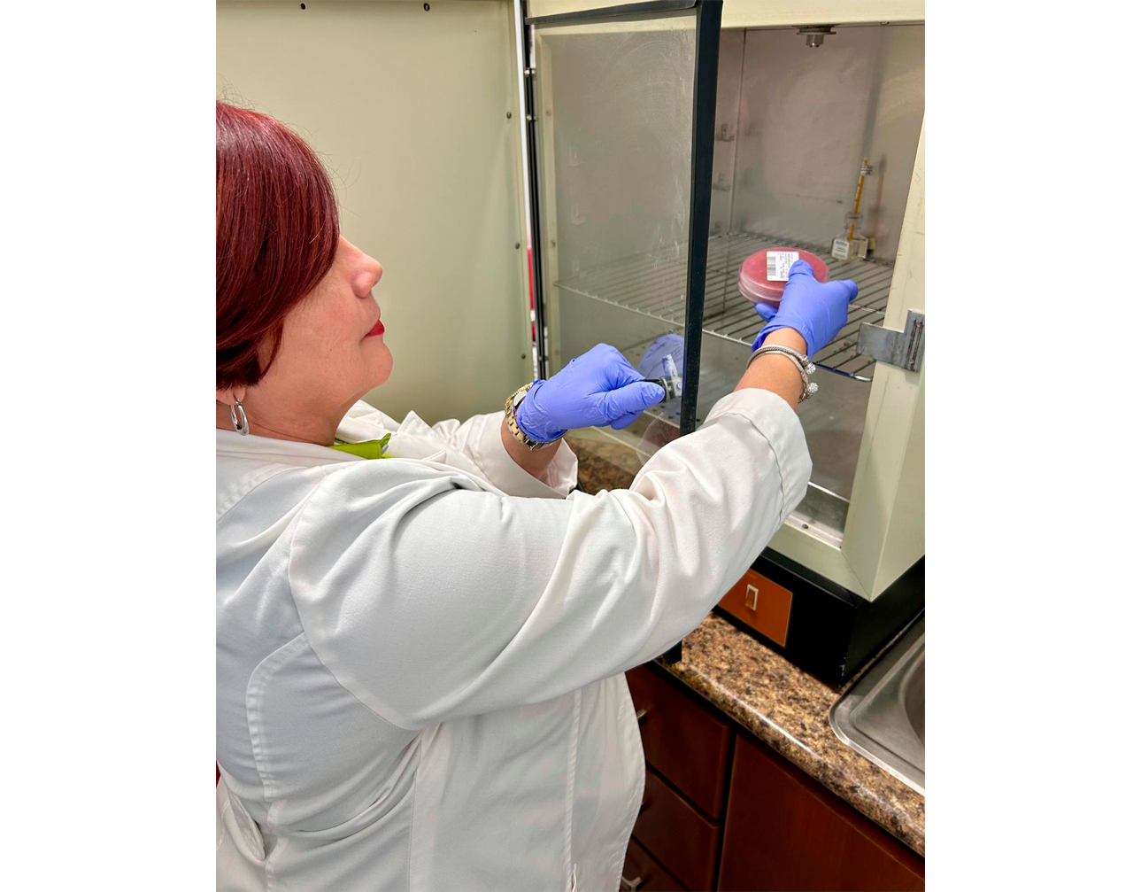 Laboratorio Clínico Domus (1435)